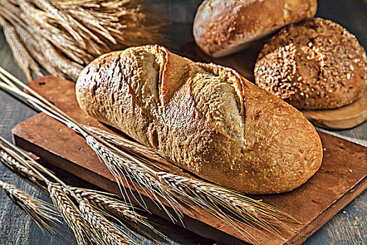 种类,长条面包,小麦,茎