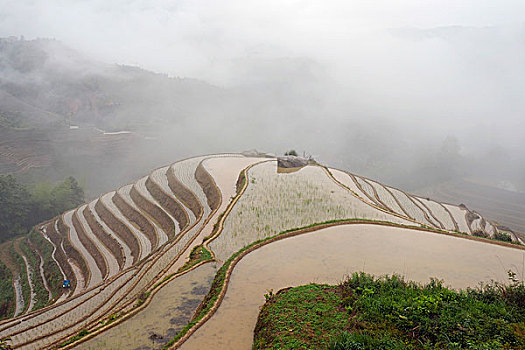 桂林金坑大赛梯田