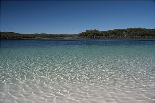 湖,弗雷泽岛,昆士兰,澳大利亚