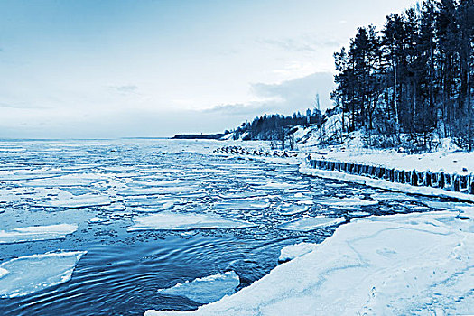 冬天,海边风景,漂浮,冰,冰冻,码头,海湾,芬兰,俄罗斯,蓝色调,单色调,照片