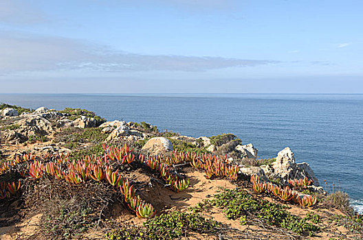 葡萄牙,西海岸,自然,石头,海洋