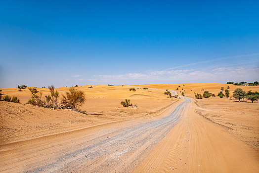 迪拜沙漠保护景区公路