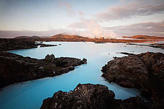地热,植物,蓝色,泻湖,雷克雅奈斯,半岛,南方,冰岛,欧洲