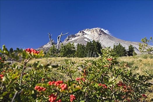 胡德山,火山,俄勒冈,美国