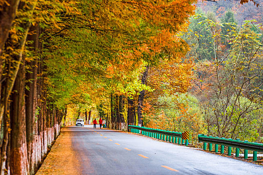 最美乡村公路