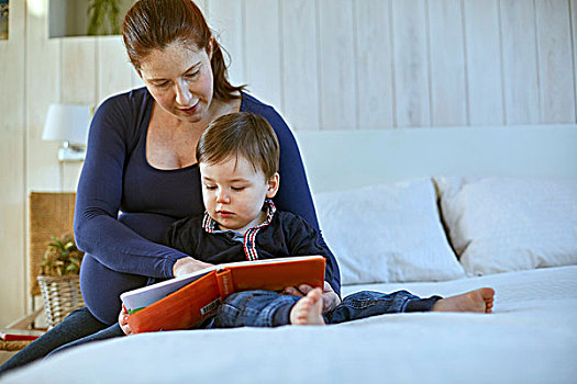 怀孕,母亲,婴儿,男孩,坐,床,读,书本,一起