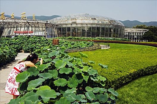 女孩,照相,植物,温室,1999年,北京,植物园,中国