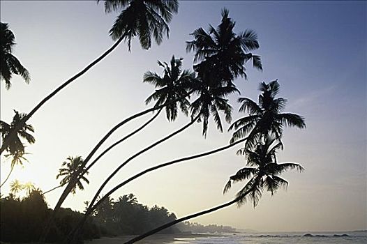 乌纳瓦图纳,海滩,斯里兰卡