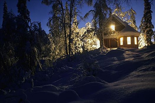 小屋,照亮,黄昏,阿拉斯加,冬天,云杉,桦树