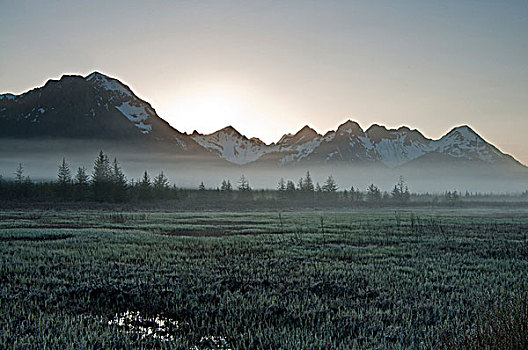 晨雾,地上,靠近,公路,太阳,上升,上方,楚加奇山,楚加奇国家森林,阿拉斯加,春天