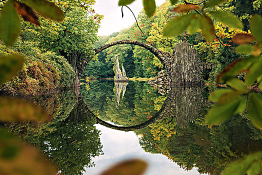 桥,杜鹃花,杜鹃花属植物,公园,萨克森,德国