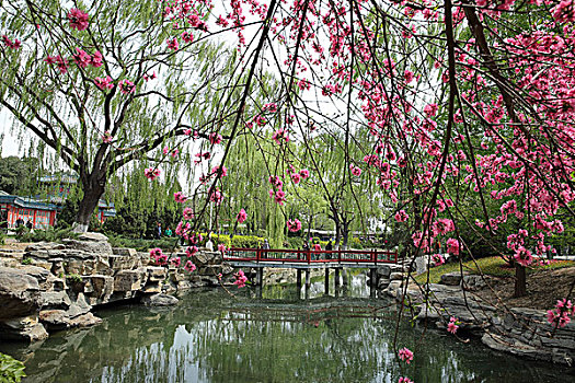 2016年4月11日北京西城区中山公园