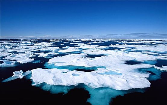 浮冰,巴芬岛,加拿大,北极