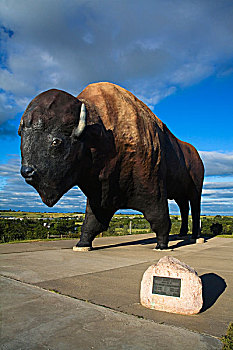 水牛,纪念建筑,前沿,乡村,北达科他,美国