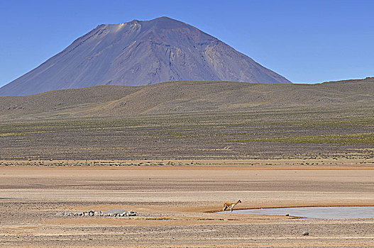 秘鲁,火山,国家,预留