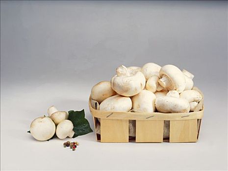 白色,蘑菇,旁侧,小,篮子