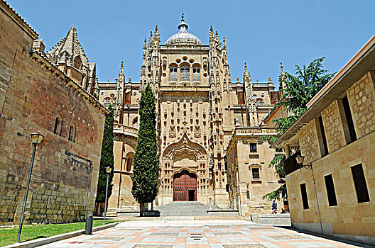 老教堂,萨拉曼卡,卡斯蒂利亚莱昂,西班牙,欧洲