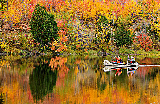 两个,捕鱼者,划船,独木舟,萨德伯里,安大略省,加拿大