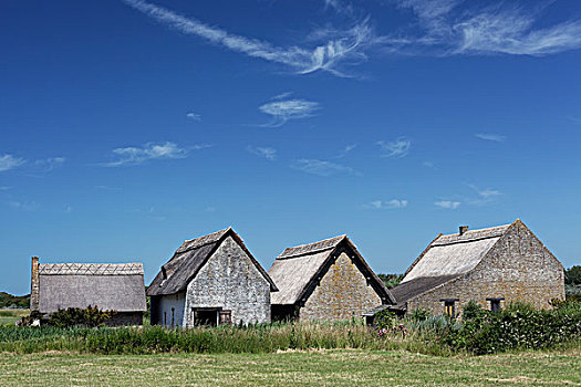 仿制,中世纪,房子,渔村,西佛兰德省,比利时,欧洲