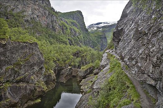 狭窄,徒步旅行,河,挪威,斯堪的纳维亚,欧洲