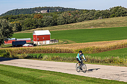 道路,骑自行车,乡村,靠近,威斯康辛,美国