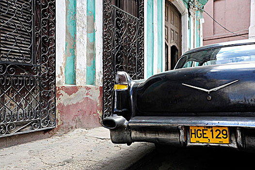黑色,20世纪50年代,老爷车,后部,牌照,市中心,哈瓦那,古巴,大安的列斯群岛,加勒比海,中美洲,北美