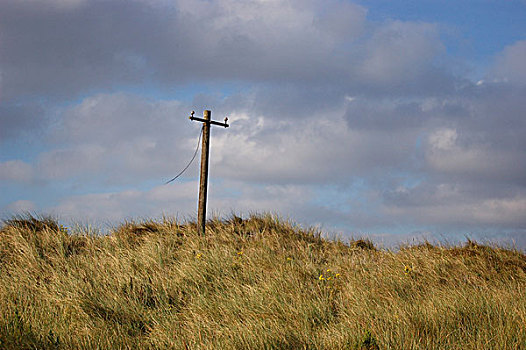一个,电报,杆,滨草,草,沙丘,破损,线缆,吹,风,晴朗,多云,天空,诺福克,英格兰
