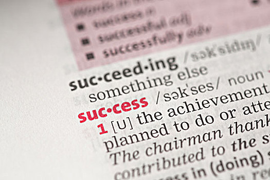 成功,定义,字典