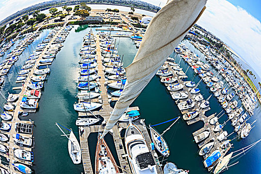 俯视,港口,游艇,圣地亚哥,加利福尼亚,美国