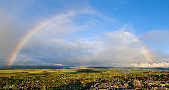 彩虹,上方,低地,冰岛,欧洲