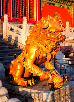 北京故宫,乾,铜狮