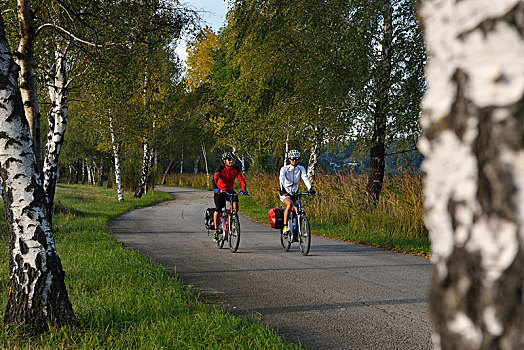 骑车,骑,电,自行车,自行车道,湖,萨尔茨堡,湖区,奥地利,欧洲