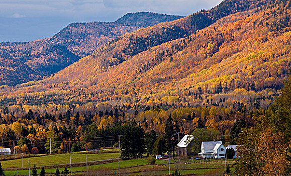 壮观,秋色,乡村,加斯佩半岛,魁北克,加拿大
