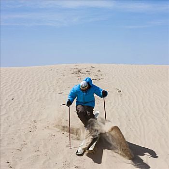 美国,犹他,小,撒哈拉沙漠,男人,滑雪