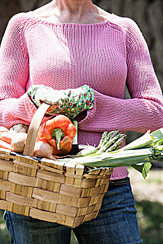 女人,篮子,自产,蔬菜
