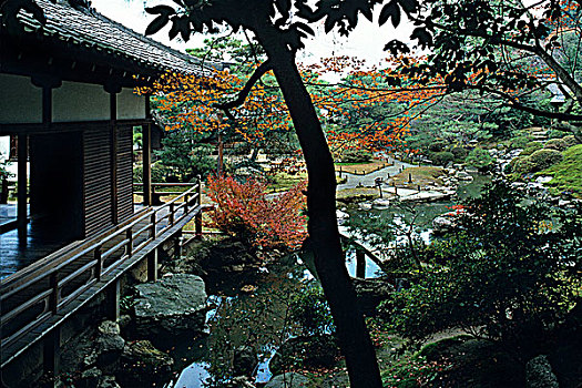 日本,京都,庙宇,花园