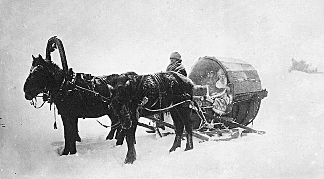 马拉,雪橇,西伯利亚,俄罗斯,19世纪90年代,艺术家,未知