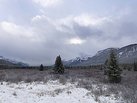 云,上方,积雪,山峦,班芙国家公园,艾伯塔省,加拿大