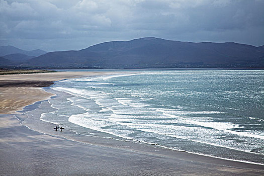 两个人,走,冲浪板,海滩,英寸,丁格尔半岛,凯瑞郡,爱尔兰