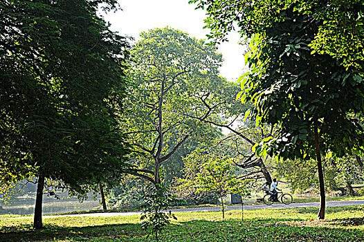 印度,西孟加拉,加尔各答,植物园