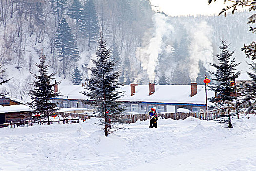 雪乡,双峰林场,村庄,风景,白天,黑龙江,牡丹江