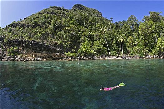 印度尼西亚,班达海,岛屿,俯视,女人,潜水,上方,浅,礁石,背景