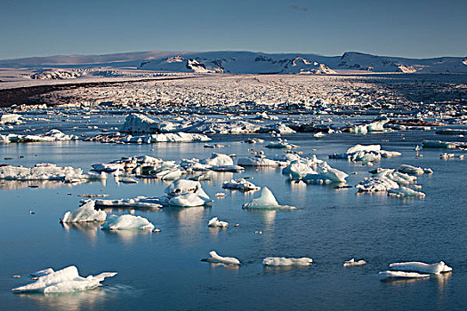 结冰,泻湖,冰河,东方,冰岛,欧洲