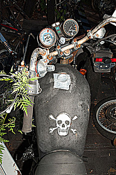 骷髅图案,摩托车,油箱