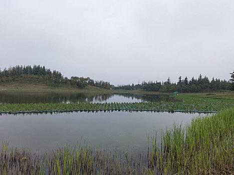 西安鹤鸣湖公园