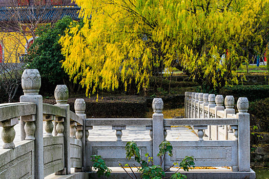 金秋开元寺