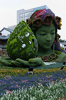 云南昆明植物花卉造型艺术立体花坛