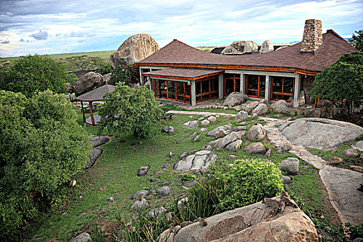 住宿,塞伦盖蒂国家公园,坦桑尼亚,非洲