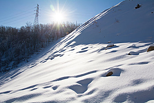 雪景