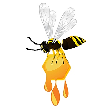 黄蜂,蜂蜜